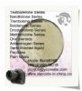 Trenbolone Enanthate 10161-33-8 Muscle Building Steroid Trenbolone Powder